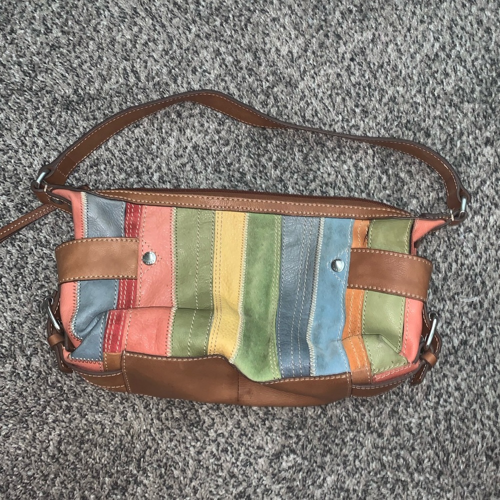 multicolored fossil bag